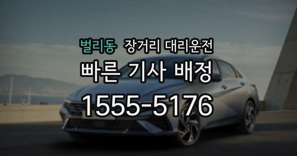 벌리동 장거리 대리운전