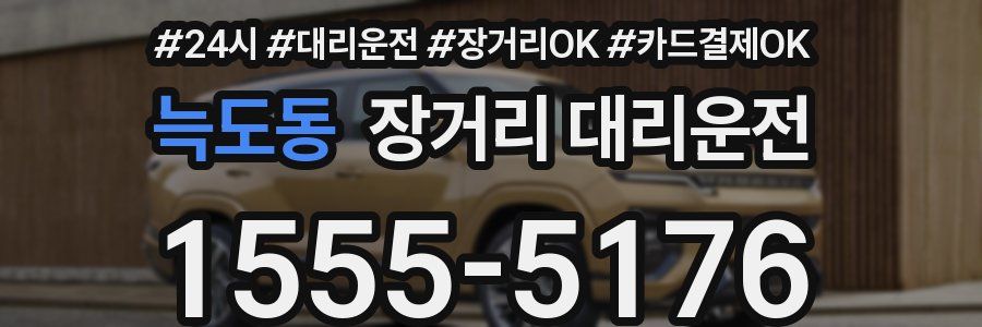 늑도동 장거리 대리운전