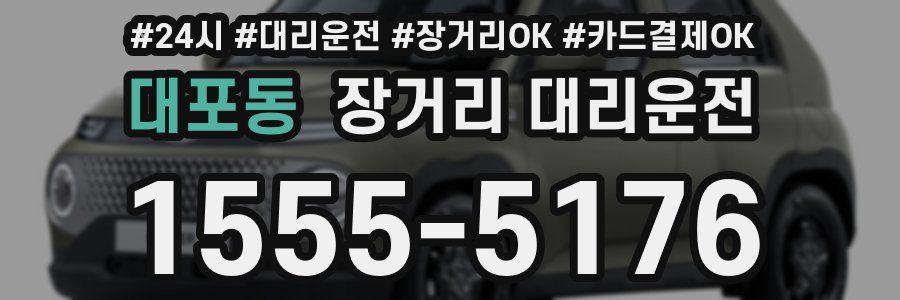 대포동 장거리 대리운전