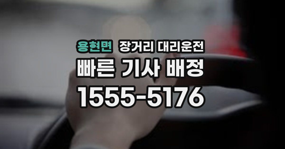 용현면 장거리 대리운전