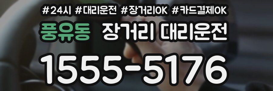 풍유동 장거리 대리운전