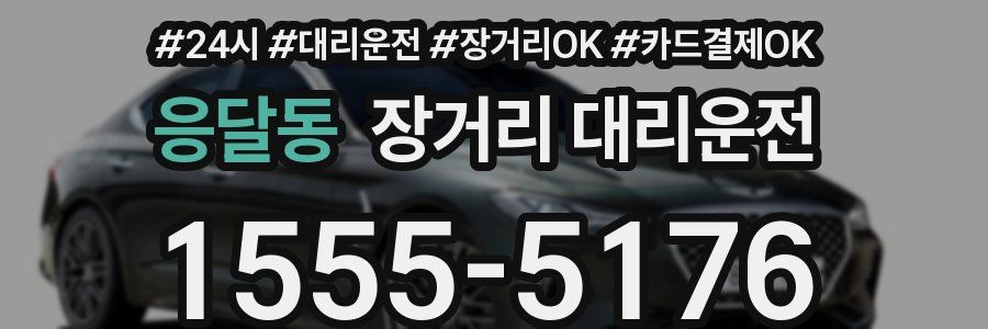 응달동 장거리 대리운전