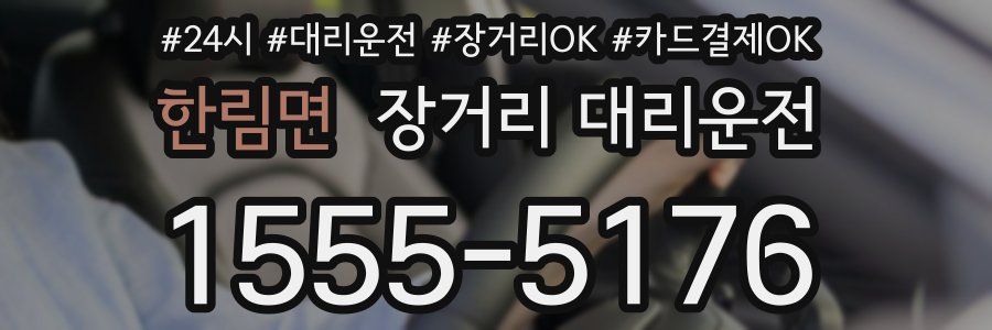 한림면 장거리 대리운전