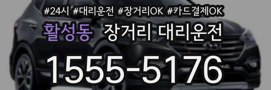 활성동 장거리 대리운전