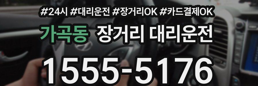 가곡동 장거리 대리운전