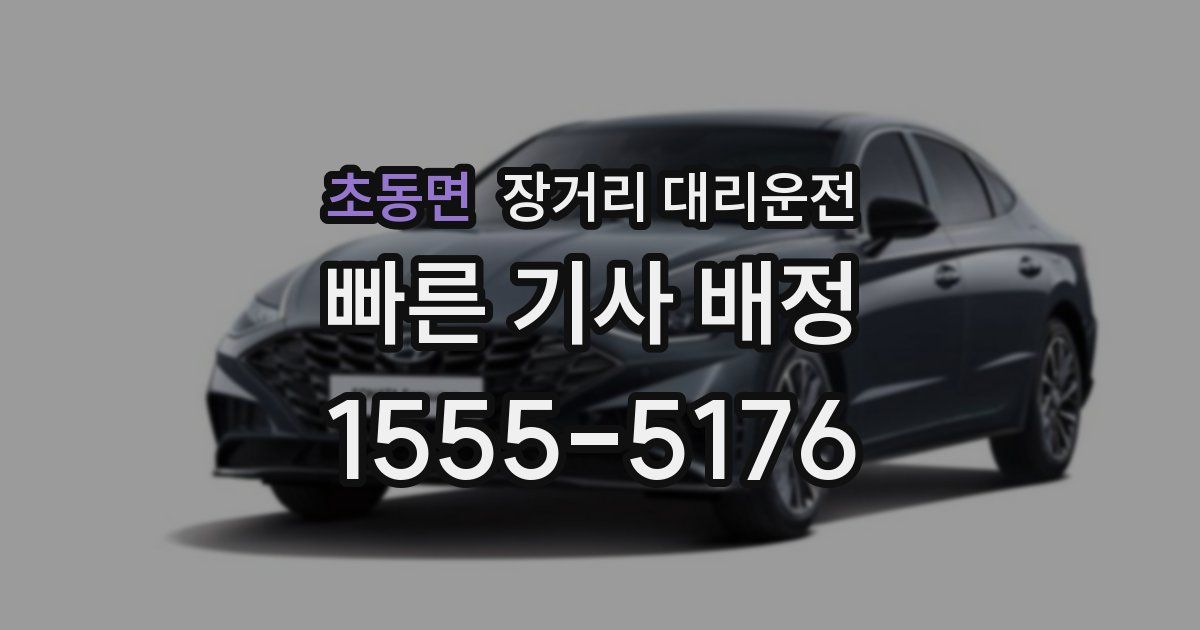 초동면 장거리 대리운전