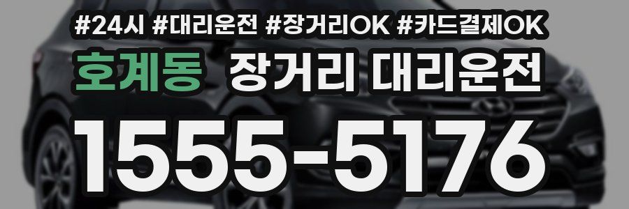 호계동 장거리 대리운전