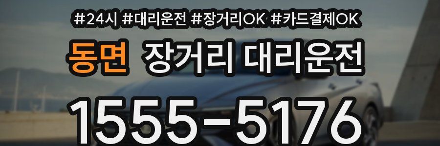 동면 장거리 대리운전