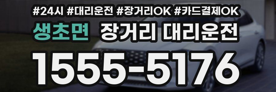 생초면 장거리 대리운전