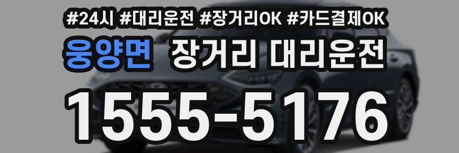 웅양면 장거리 대리운전