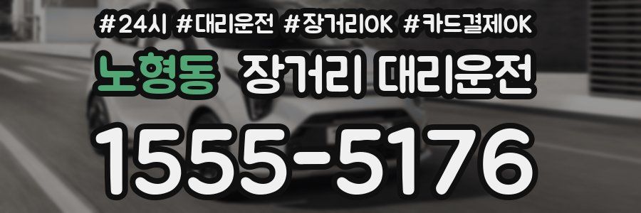 노형동 장거리 대리운전