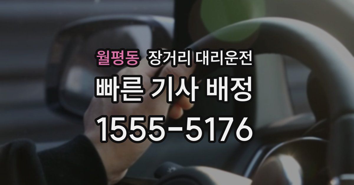 월평동 장거리 대리운전