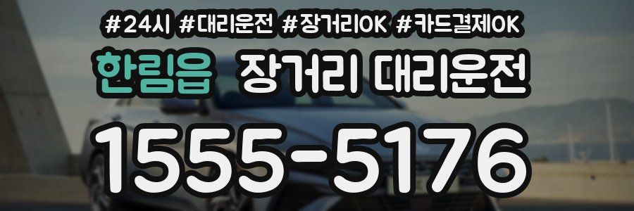 한림읍 장거리 대리운전