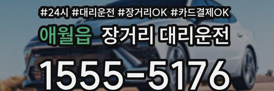 애월읍 장거리 대리운전