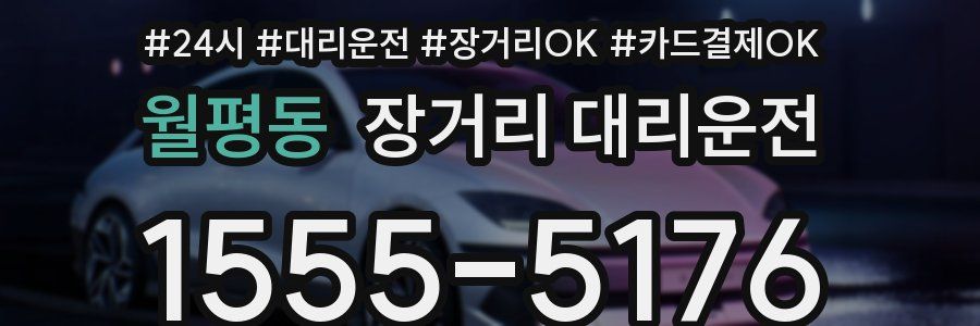월평동 장거리 대리운전