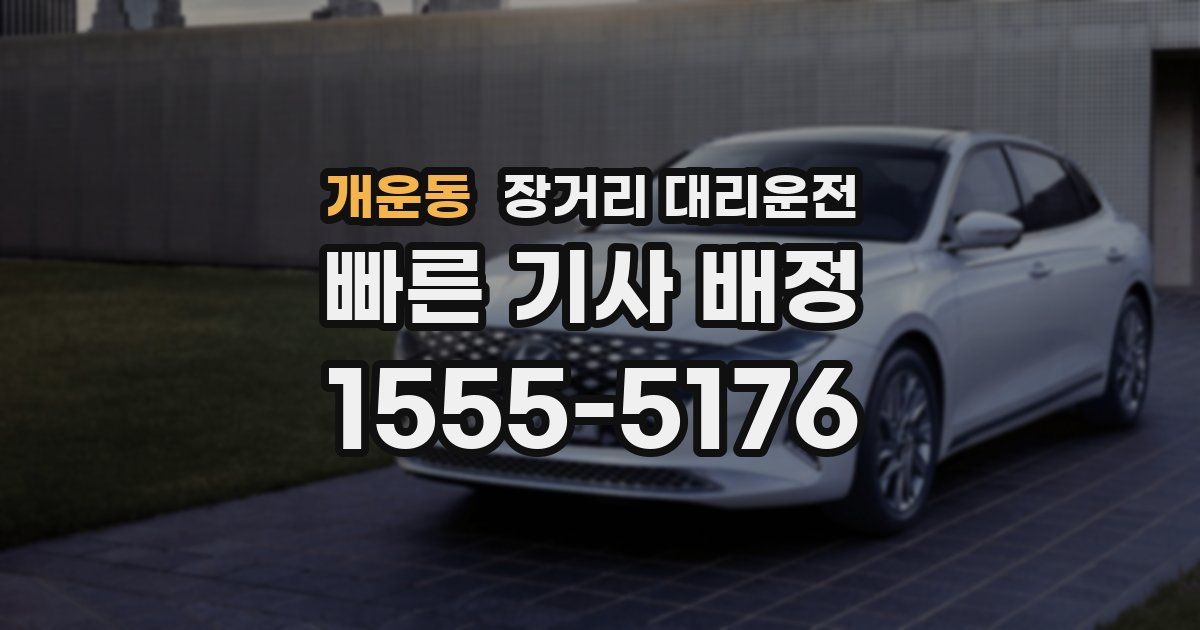 개운동 장거리 대리운전