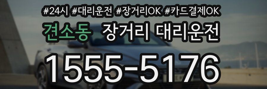 견소동 장거리 대리운전