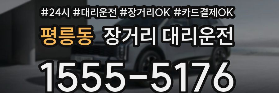 평릉동 장거리 대리운전