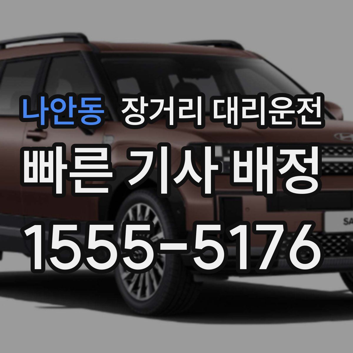 나안동 장거리 대리운전