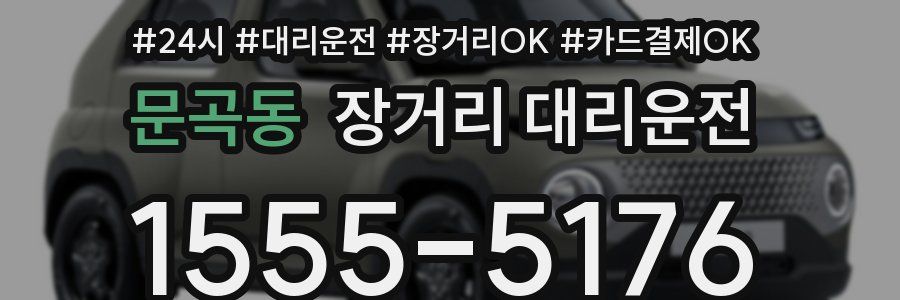 문곡동 장거리 대리운전