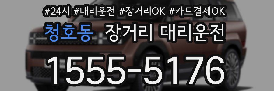 청호동 장거리 대리운전