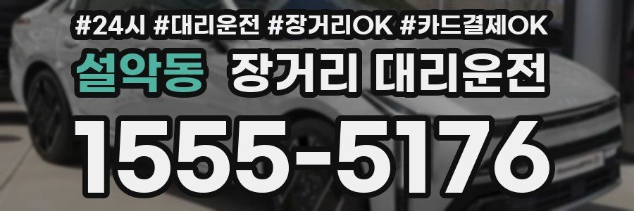 설악동 장거리 대리운전