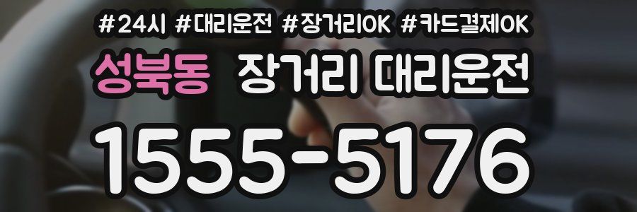 성북동 장거리 대리운전