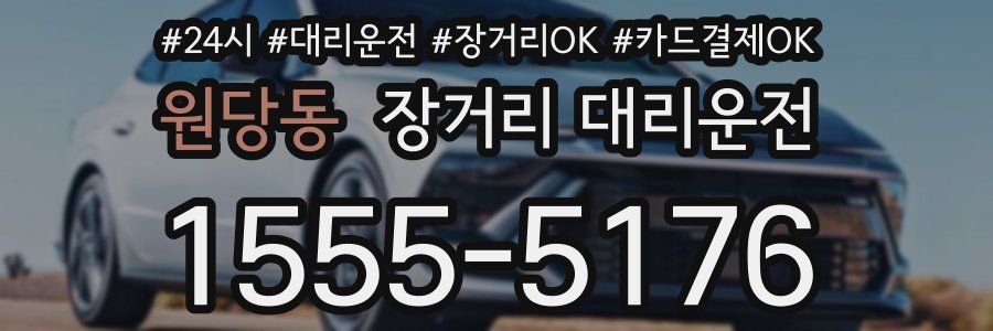 원당동 장거리 대리운전