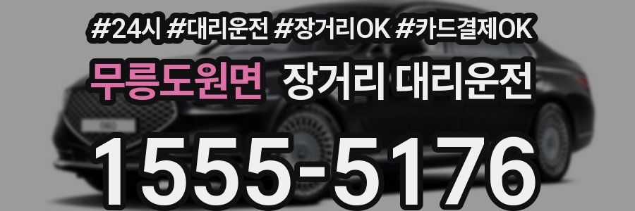 무릉도원면 장거리 대리운전