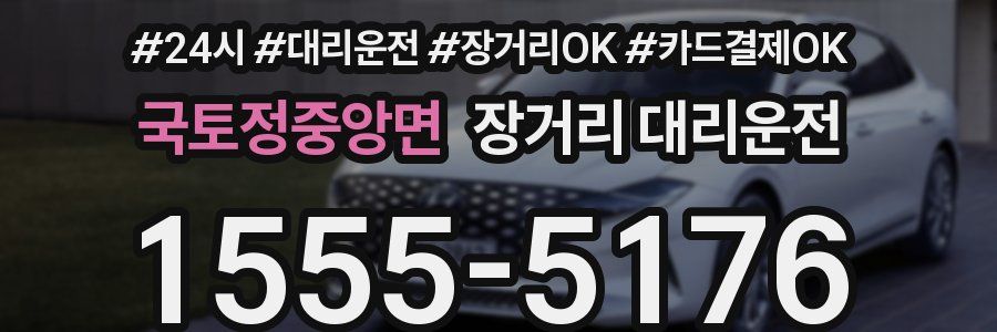 국토정중앙면 장거리 대리운전