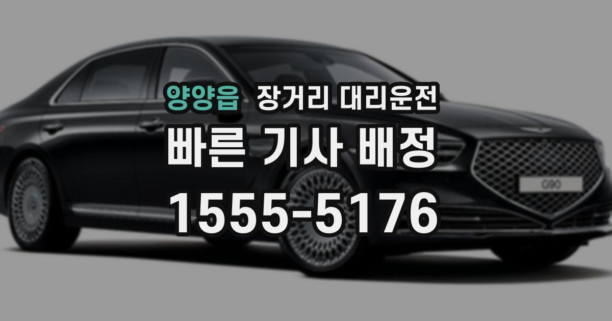 양양읍 장거리 대리운전