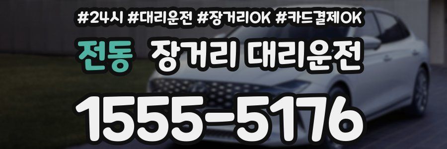 전동 장거리 대리운전
