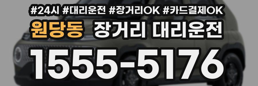 원당동 장거리 대리운전