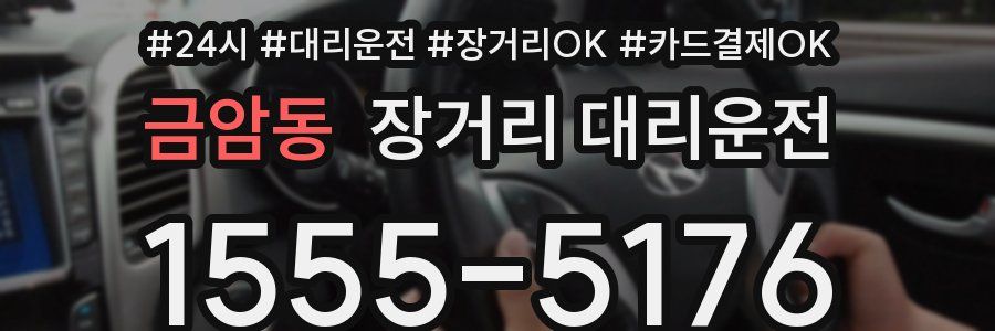 금암동 장거리 대리운전