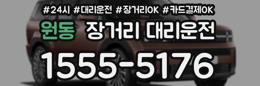 원동 장거리 대리운전