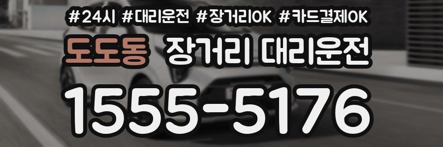 도도동 장거리 대리운전