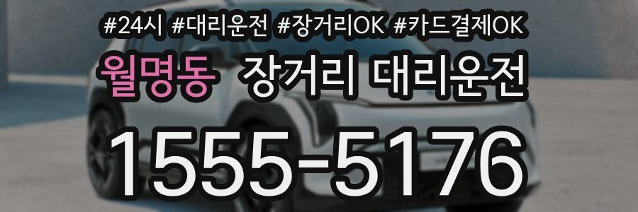 월명동 장거리 대리운전
