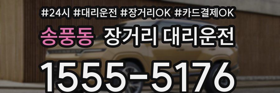 송풍동 장거리 대리운전