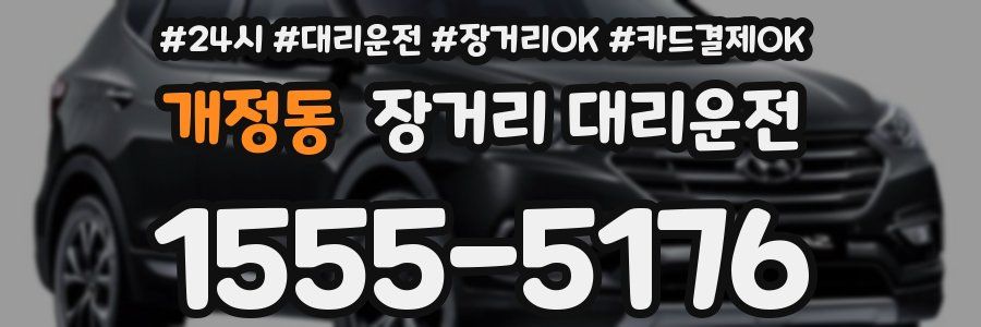 개정동 장거리 대리운전