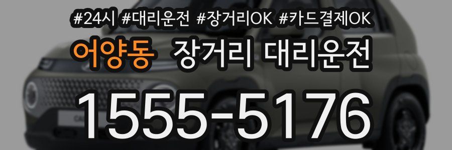 어양동 장거리 대리운전