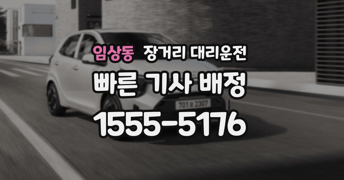임상동 장거리 대리운전