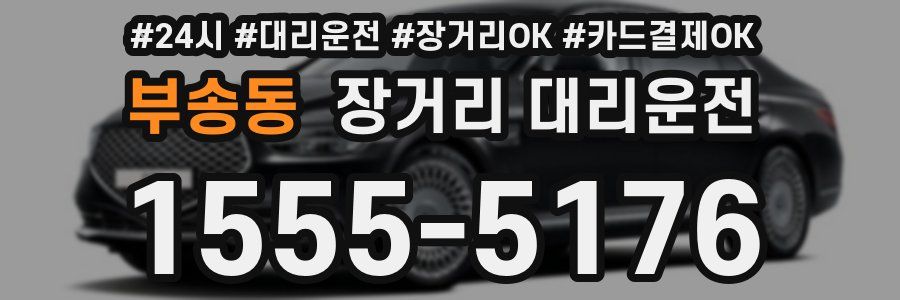 부송동 장거리 대리운전