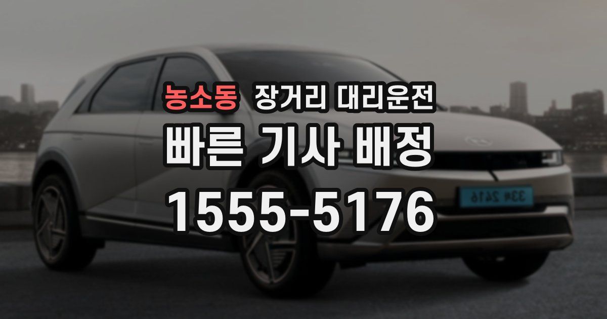 농소동 장거리 대리운전