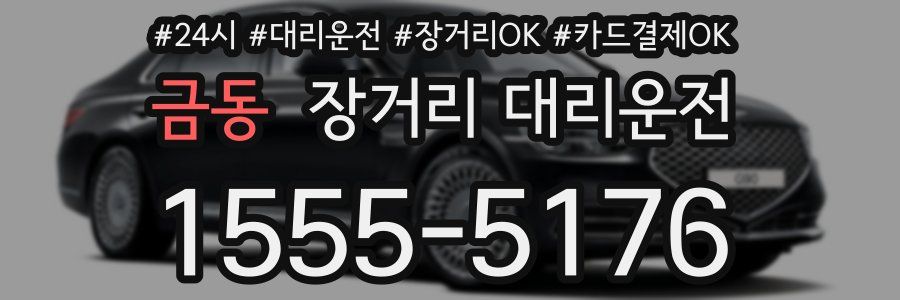 금동 장거리 대리운전