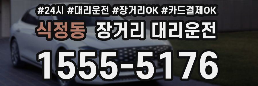 식정동 장거리 대리운전