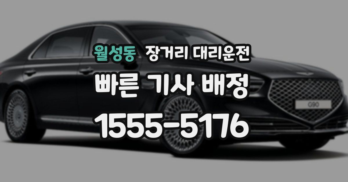 월성동 장거리 대리운전