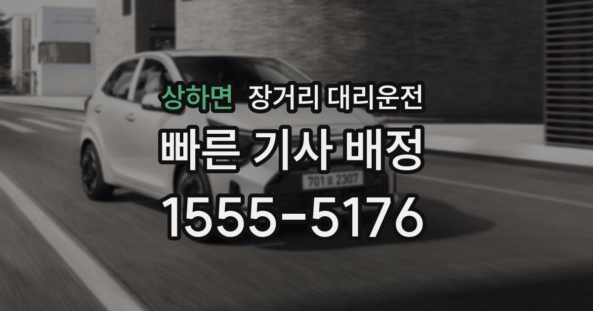 상하면 장거리 대리운전