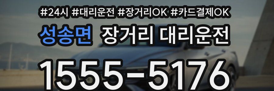 성송면 장거리 대리운전