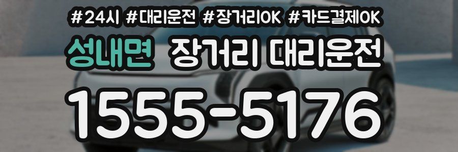 성내면 장거리 대리운전