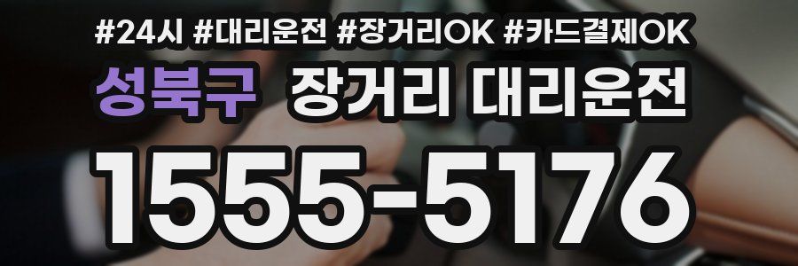 성북구 장거리 대리운전